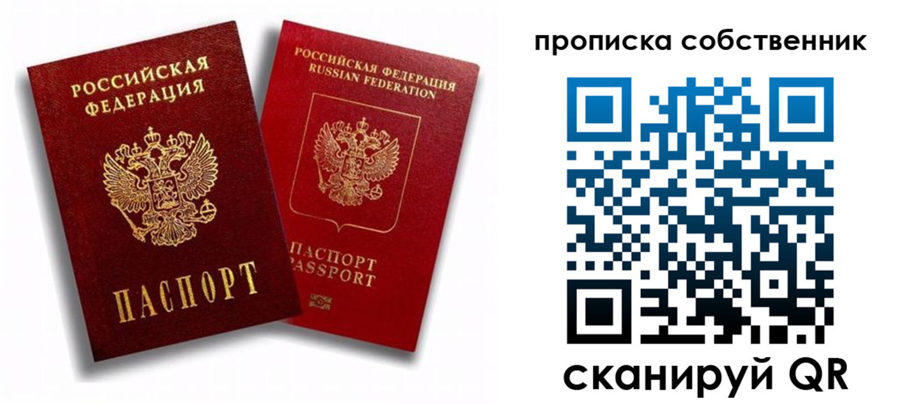 прописка 2025 в Жукове